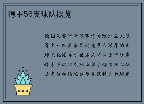 德甲56支球队概览