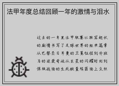 法甲年度总结回顾一年的激情与泪水